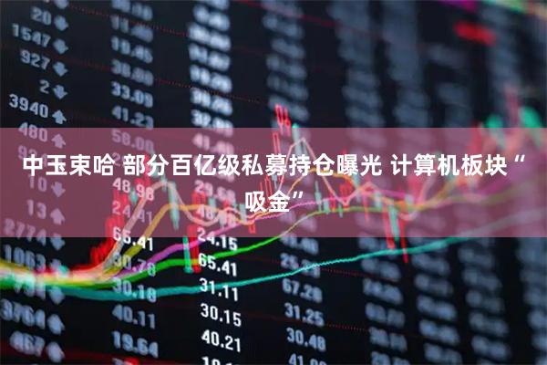 中玉束哈 部分百亿级私募持仓曝光 计算机板块“吸金”